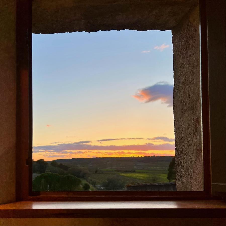 Proche Uzes Le Cocon Du Peintre Anglais Sanilhac-et-Sagries Экстерьер фото